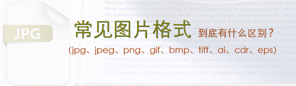 常見的圖片格式到底有什么區(qū)別？