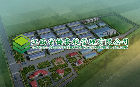 公司網(wǎng)站建設